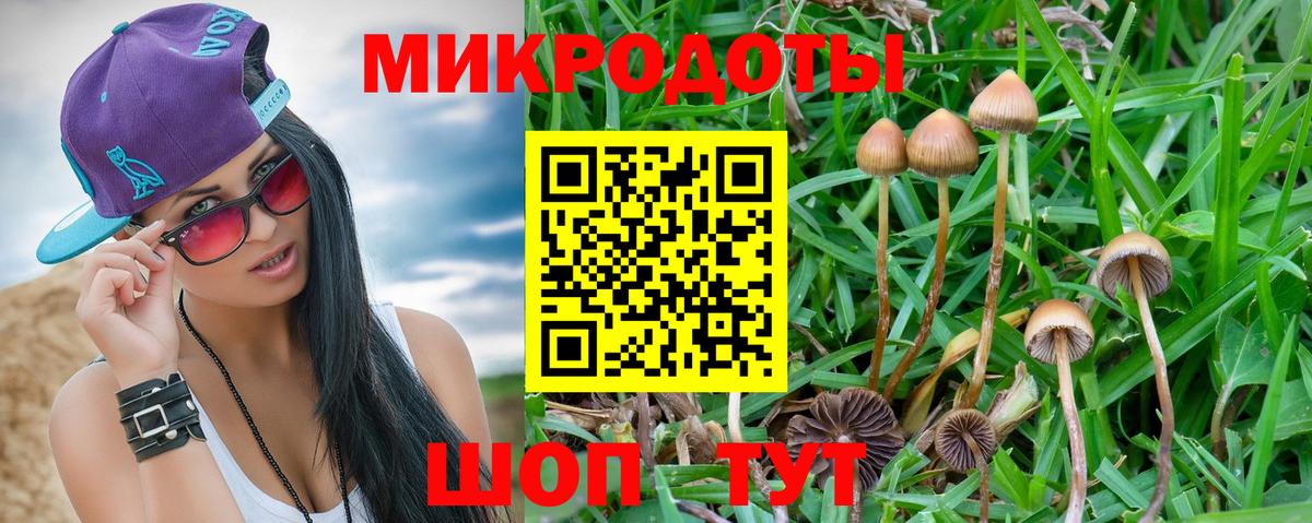 Псилоцибиновые грибы прущие грибы Клинцы