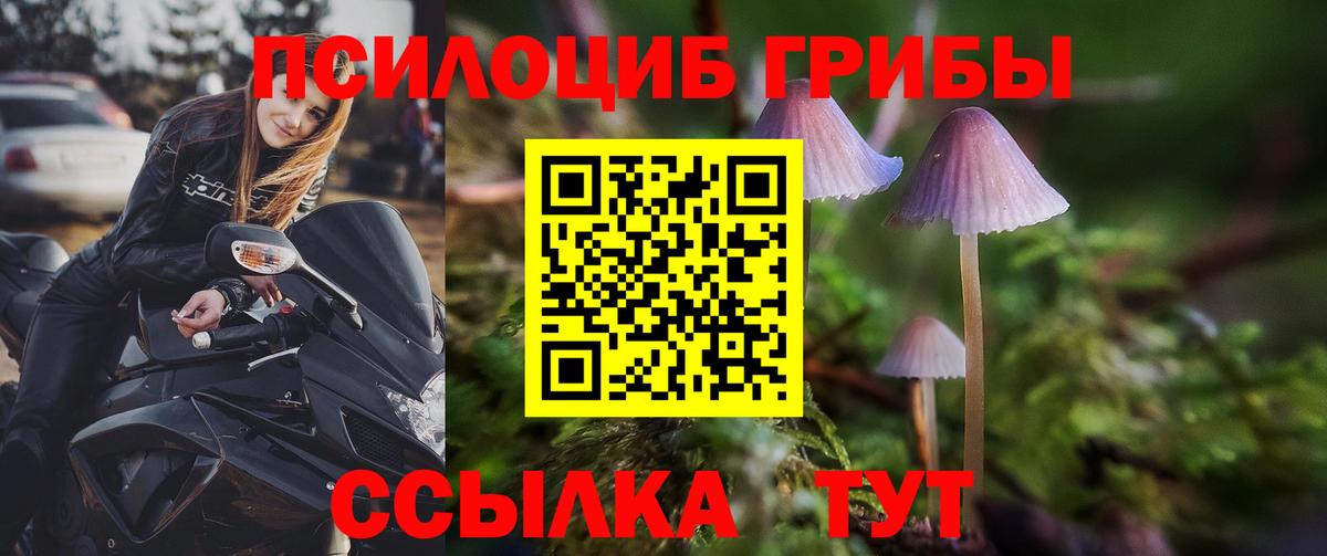 Клинцы  Галлюциногенные грибы Cubensis  Вход с VPN 