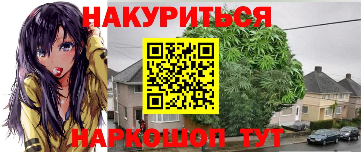 Бошки марихуана марихуана  Вход с VPN  Клинцы  Канабис Amnesia 